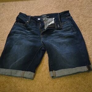 Time and Tru- Dark Blue Denim Shorts